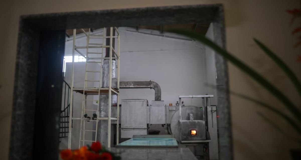 Falta de cemitério público leva 57 toneladas de carcaças de animais ao aterro sanitário do DF - Imagem do artigo original